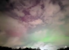 Phone aurora, January 2026